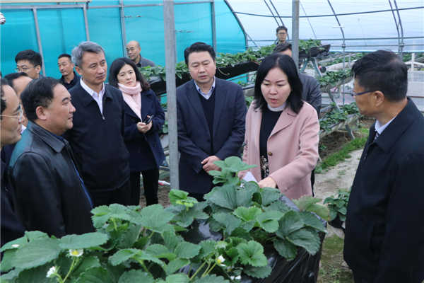 “質(zhì)量興農(nóng)萬里行”陜西站活動花落安康、走進(jìn)漢濱、風(fēng)起陽晨